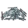 Rivets aveugles 4x12 (Sachet de 20)