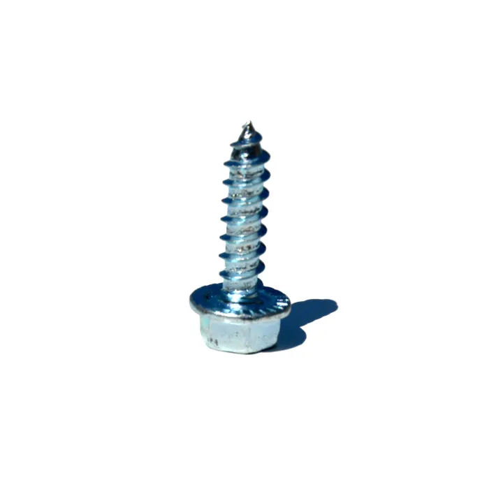 Garage door screw