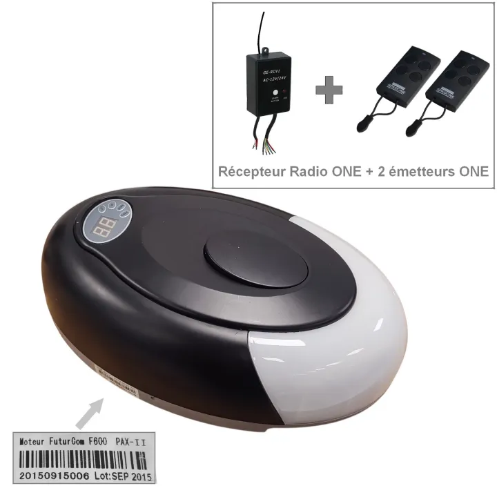 Télécommande pour moteur Futurcom (lot de 2)
