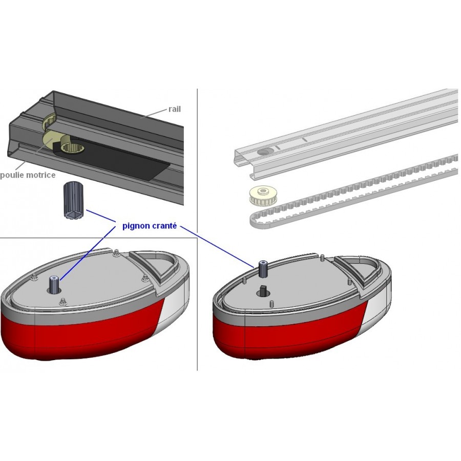 Pignon Cranté pour carré de moteur ONE - Axone-Spadone