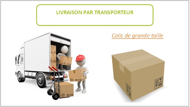 Les colis de grandes tailles sont expédiés par transporteur Livraison par transporteur
